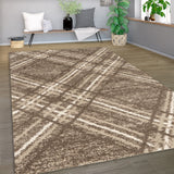 Blaze Rug