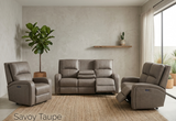 Savoy Grey reclining sofa set in a modern living room with plants and a rug at furniture store ni