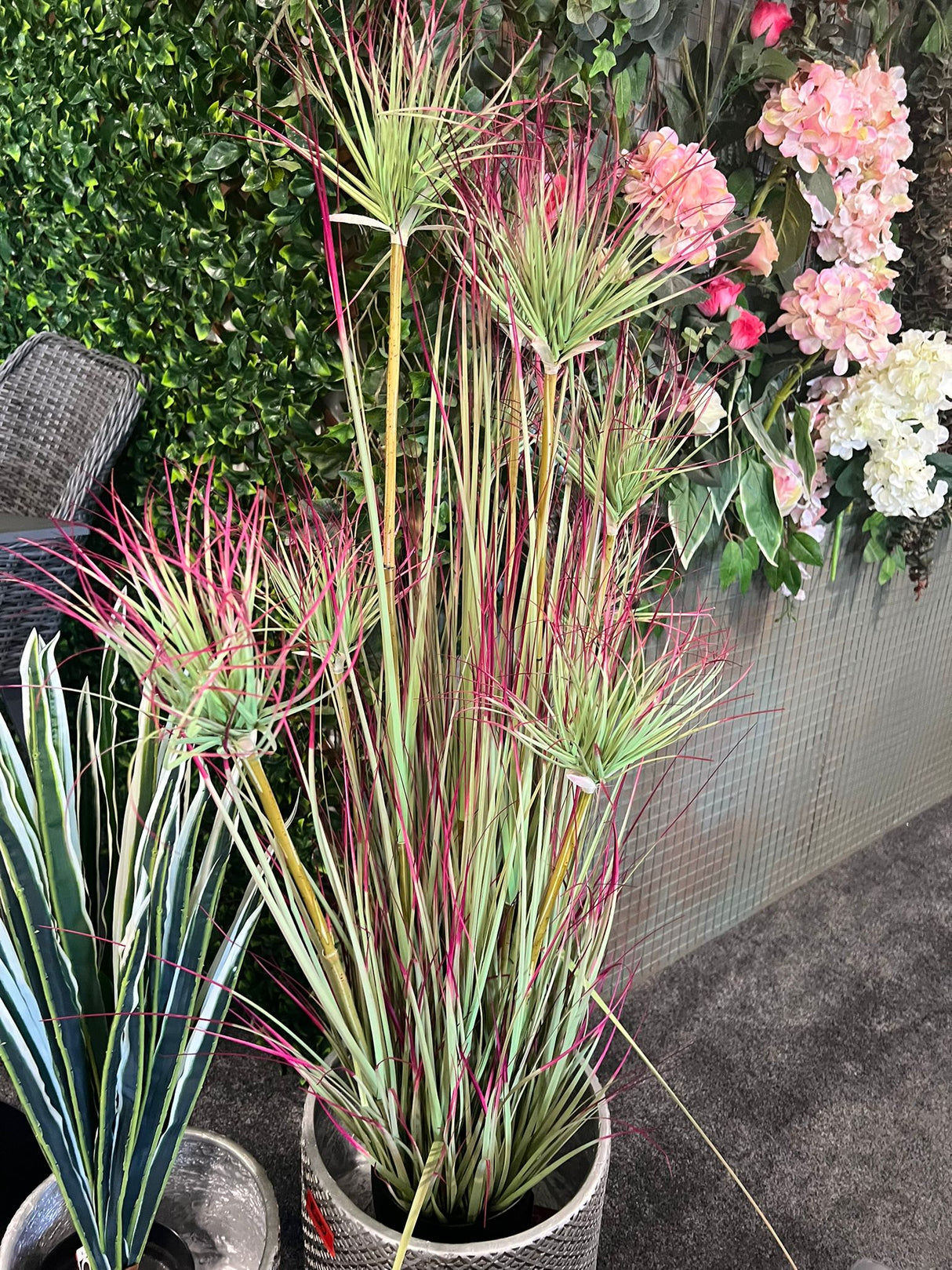 Large Bamboo Grass