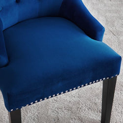 Lion Chair - Blue Velvet - Furniture Store NI