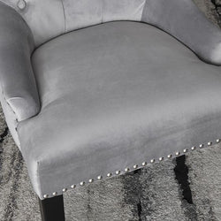 Lion Chair - Silver Velvet - Furniture Store NI
